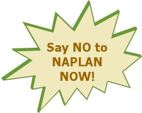 say no to naplan now